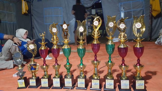 
					Selamat ! Karang Taruna Lutim Boyong 10 Trophy di SKB-BBKT