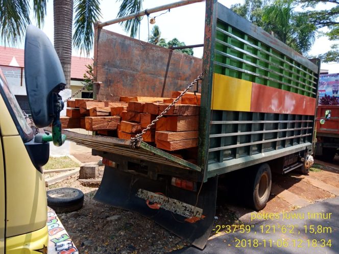 
					2 Sopir Truck Angkut Kayu Ilegal Diamankan Polisi. Siapa “Bosnya” ?