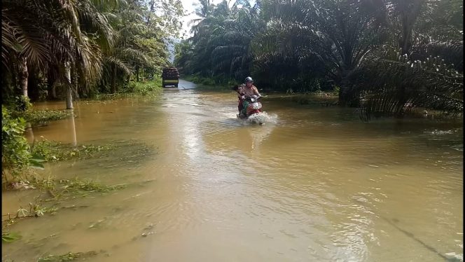 
					Salah satu jalan di Desa Tawakua yang terendam banjir setinggi betis orang dewasa