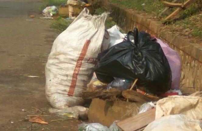 
					Sampah Menumpuk di Pinggir Jalan, DLH Cepat Tanggap