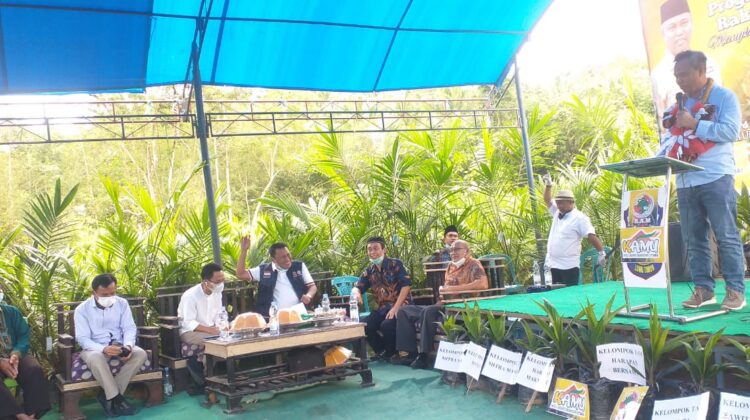 Bupati Lutim Salurkan bibit untuk peremajaan Sawit Rakyat