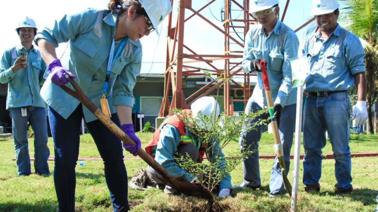 Vale Serahkan 90 Ha Lahan Hasil Rehabilitasi ke KLHK
