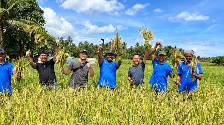 Milenial Pomalaa Melek Pertanian Organik Didukung PT Vale