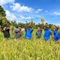 Vale Indonesia, pertanian, Luwu Timur