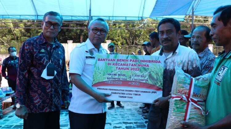Launching Mandiri Benih Padi, Bupati Luwu Timur Serahkan Sejumlah Bantuan
