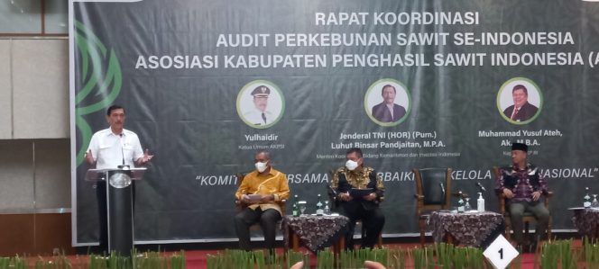 
					Pemkab. Luwu Timur Hadiri Rakor Audit Perkebunan Sawit Se Indonesia di Jakarta