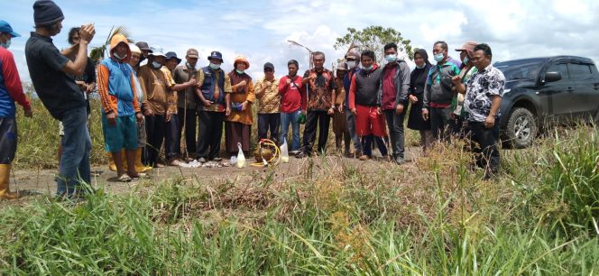 
					Dinas Pertanian Lutim, Pemdes – BPD Tole Lakukan Gropyokan Pengendalian Hama Tikus