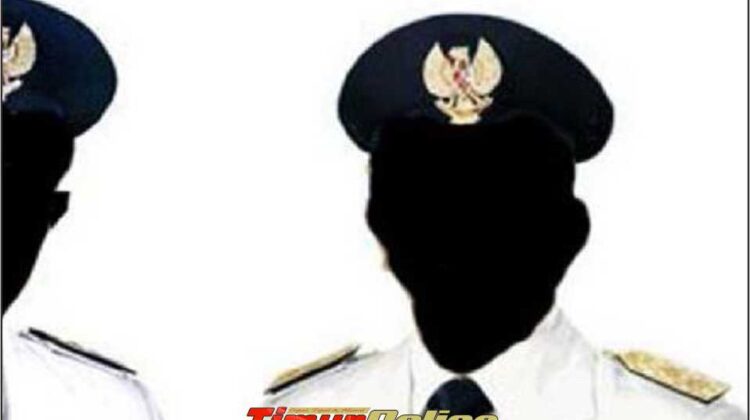 Menanti Sosok Wakil Bupati Lutim, Yuk Intip Apa Saja Tugasnya
