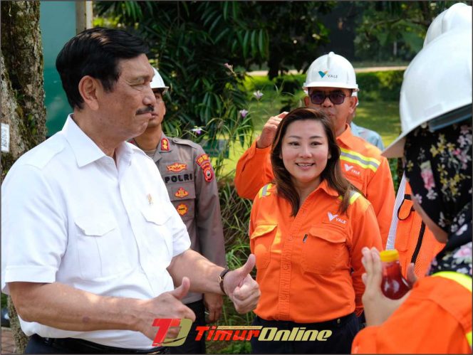 
					Menteri Luhut Inginkan Tambang di Indonesia Contohi Vale