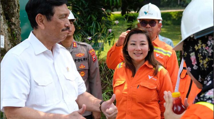 Menteri Luhut Inginkan Tambang di Indonesia Contohi Vale