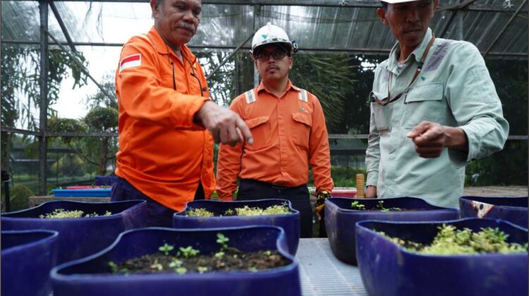 PT Vale Role Model Perusahaan Tambang di Indonesia