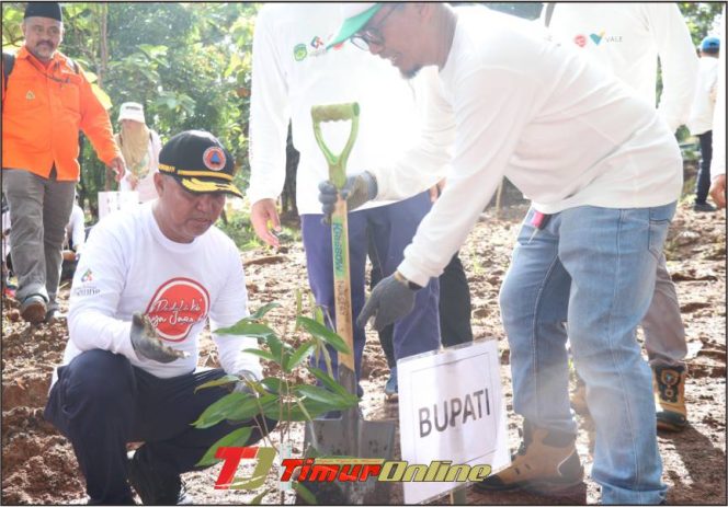 
					Pemkab Lutim Tanam 1000 Pohon Tandai Hari Lingkungan Hidup Sedunia