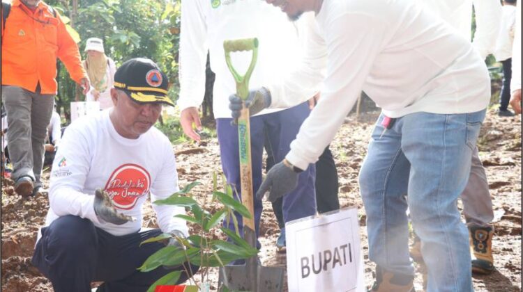 Pemkab Lutim Tanam 1000 Pohon Tandai Hari Lingkungan Hidup Sedunia