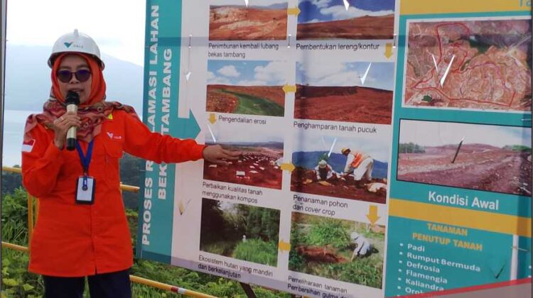 Hingga Juli 2023, Vale Indonesia Reklamasi Lahan Bekas Tambang Seluas 3,580 Ha