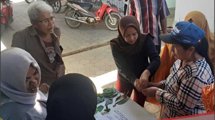 Vale  Dorong Kemandirian Warga Baula pada Sektor Kesehatan Melalui Pelatihan Herbal