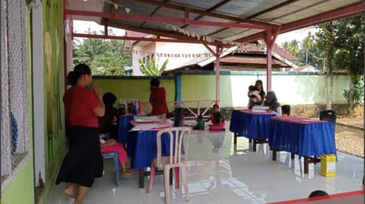 Maksimalkan Pelayanan, Posyandu Desa Teromu Rutin Periksa Kesehatan Bayi dan Ibu Hamil