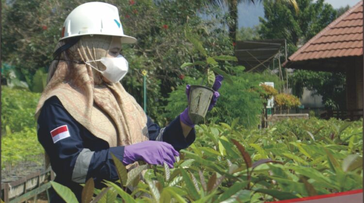Foto : Dari Nursery, Vale Jaga Konsistensi Pertambangan Berkelanjutan