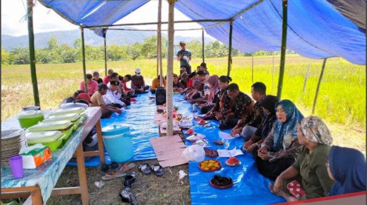 Petani di Sumber Makmur Gelar Pesta Panen