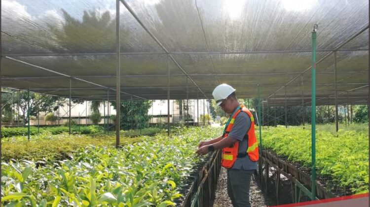 Dari Fasilitas Pembibitan, Vale Buktikan Komitmen Keberlanjutan