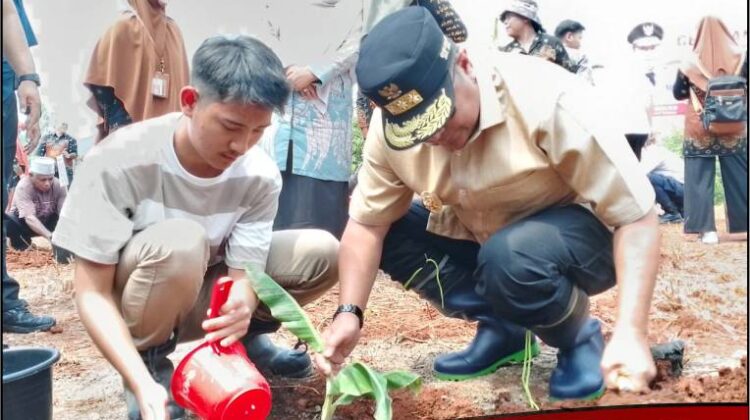 Di Lutim Pj. Gubernur Sulsel Tanam Perdana Bibit Pisang Cavendish