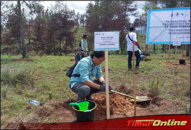 
					PT Vale Rehabilitasi DAS di Tana Toraja, Tanam 424 Ribu Bibit Pohon