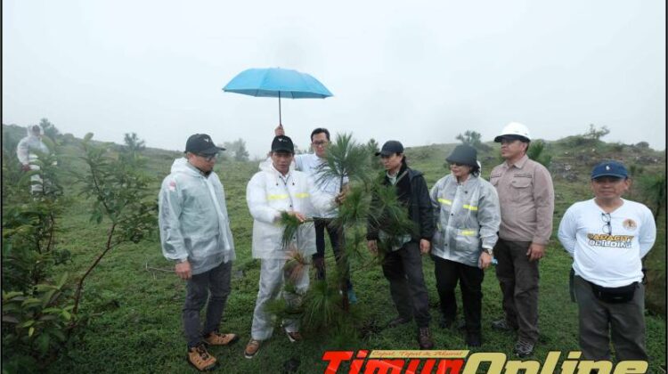 Tanam Pohon di Lappa Laona, Dirjen Planologi KLHK Apresiasi Upaya Vale Rehabilitasi Lahan DAS