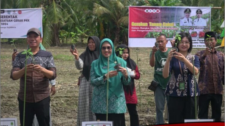 Ketua TP-PKK Lutim Hadiri Kegiatan Gerakan Tanam Cabe Serentak di Desa Maliwowo