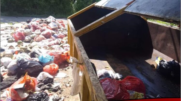 Pemerintah Siapkan Bak Sampah, Miris Warga Tak Peduli dan Buang Sampah Sembarang Tempat