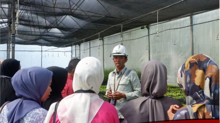 Pelatihan Kurikulum PT Vale: Kolaborasi untuk Pendidikan Berkualitas di Loeha Raya