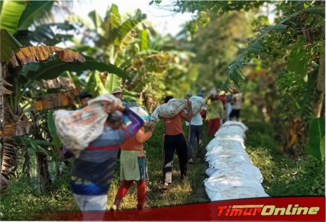 
					Antisipasi Luapan Sungai, Warga Cendana Hitam Timur Gotong Royong Pasang Geobag