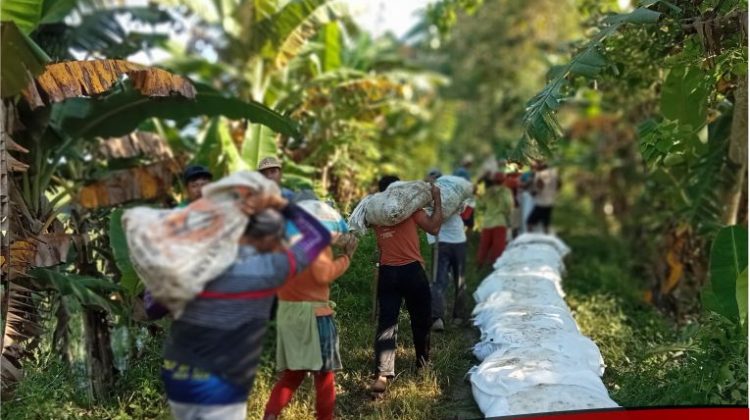 Antisipasi Luapan Sungai, Warga Cendana Hitam Timur Gotong Royong Pasang Geobag