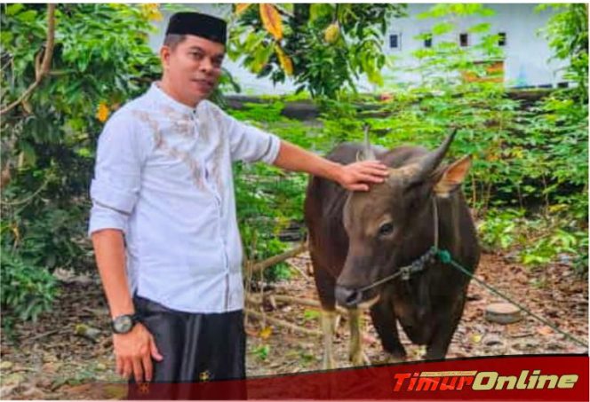 
					Wahidin Wahid Berqurban Seekor Sapi di Desa Bangun Jaya