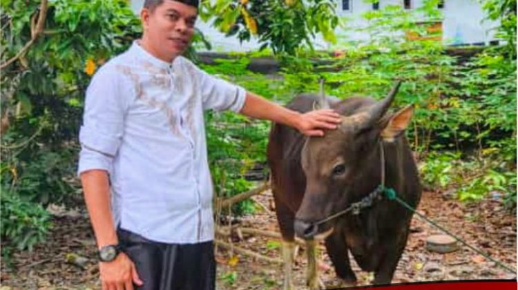 Wahidin Wahid Berqurban Seekor Sapi di Desa Bangun Jaya