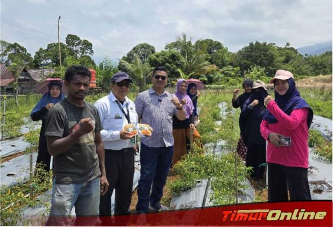 
					Reformer PKA Lutim Perkenalkan dan Implementasikan Metode Smart Farming pada Tanaman Cabai