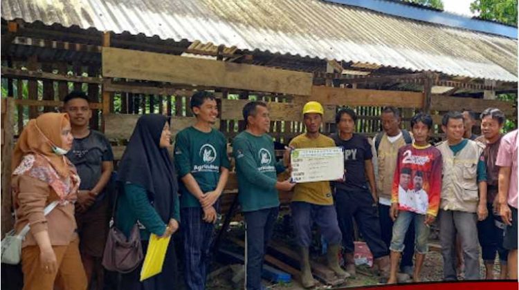 Warga Cendana Hijau Terima Ratusan Bantuan Ternak