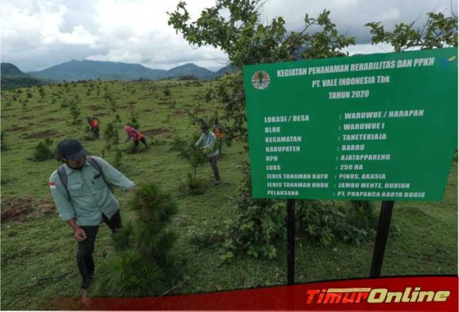 
					Hadirkan Masa Depan Berkelanjutan, PT Vale Dukung Rehabilitasi DAS di Sulawesi Selatan