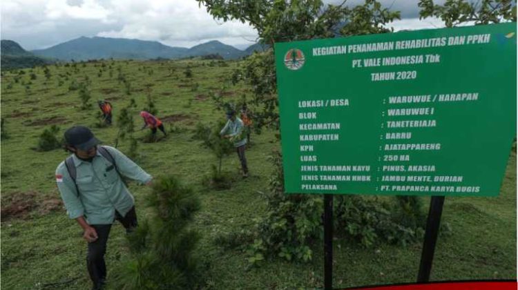 Hadirkan Masa Depan Berkelanjutan, PT Vale Dukung Rehabilitasi DAS di Sulawesi Selatan