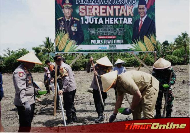 
					Tanam Jagung Serentak 1 Juta Hektar di Pabeta