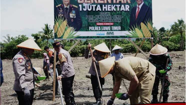 Tanam Jagung Serentak 1 Juta Hektar di Pabeta