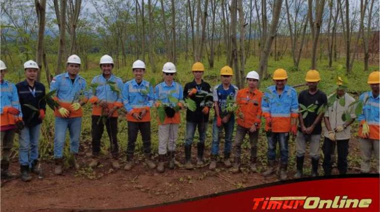 CLM Tanam 1000 Pohon Tanaman Lokal di Malili