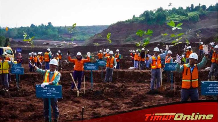 Dari Morowali untuk Bumi: PT Vale IGP Tanam Harapan Lewat Reklamasi Sejak Langkah Pertama