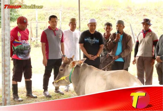 
					Idul Adha 2025, Polres Luwu Timur Sembeli 20 Sapi