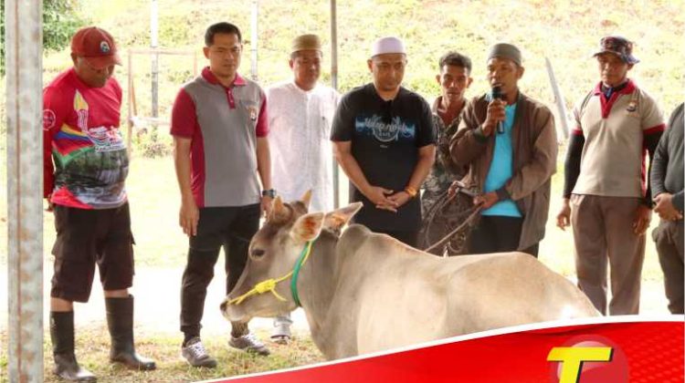 Idul Adha 2025, Polres Luwu Timur Sembeli 20 Sapi