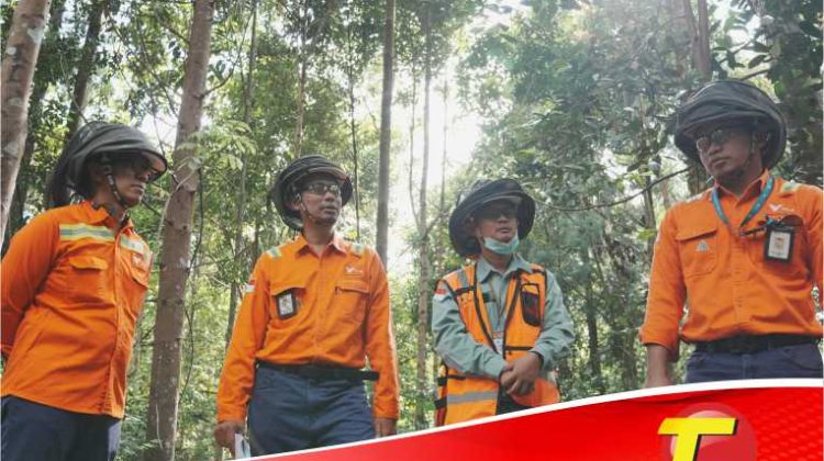 PT Vale Indonesia Masuk Daftar Fortune Southeast Asia 500 Tahun 2025
