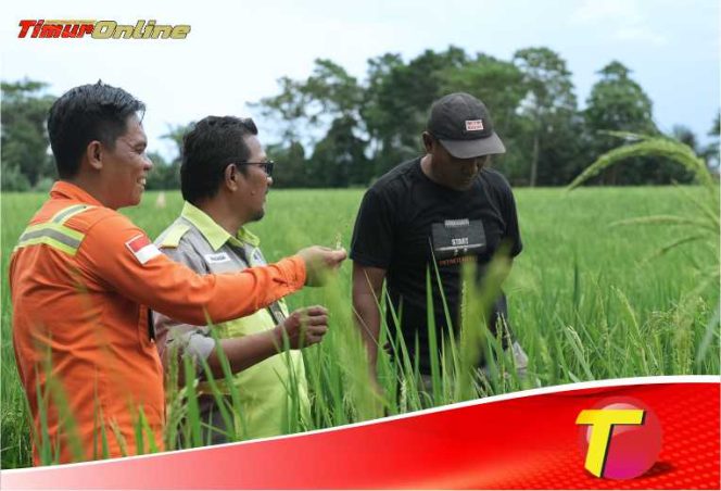 
					Dorong Kemandirian Ekonomi Lokal, PT Vale Hadirkan Livelihood Restoration Program di Pomalaa Membangun Masa Depan Berkelanjutan melalui Peningkatan Taraf Hidup Masyarakat