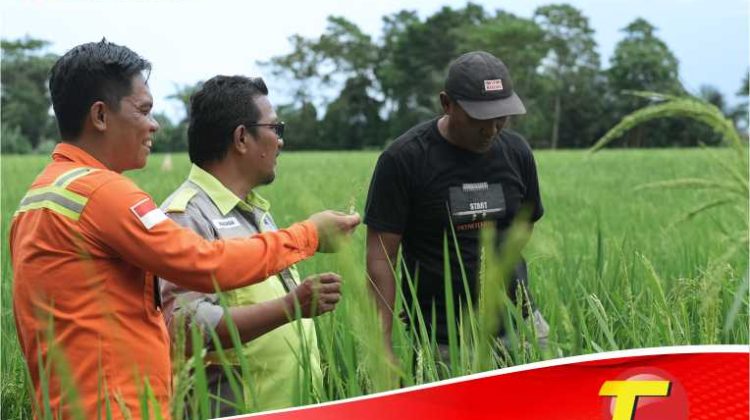Dorong Kemandirian Ekonomi Lokal, PT Vale Hadirkan Livelihood Restoration Program di Pomalaa Membangun Masa Depan Berkelanjutan melalui Peningkatan Taraf Hidup Masyarakat