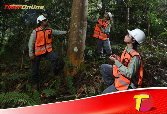 
					Komitmen Pada Keberlanjutan, PT Vale Hijaukan Area Bekas Tambang