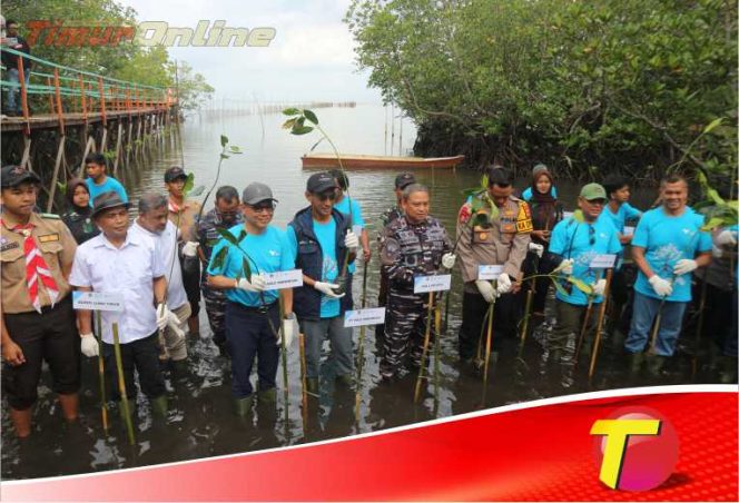 
					Hari Mangrove Sedunia, PT. Vale Indonesia Tanam Ribuan Bibit Mangrove di Pasi-Pasi
