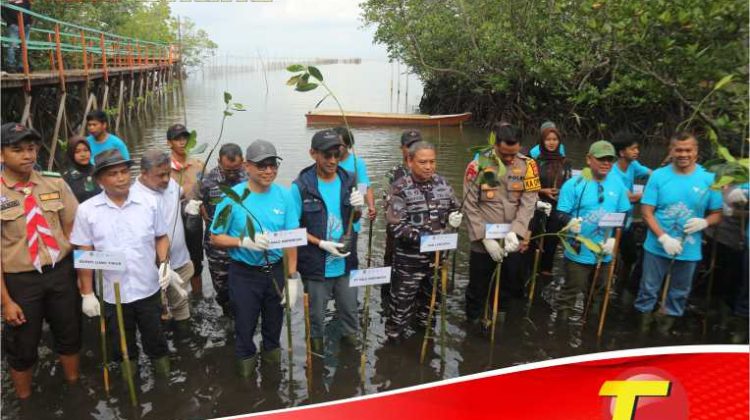 Hari Mangrove Sedunia, PT. Vale Indonesia Tanam Ribuan Bibit Mangrove di Pasi-Pasi