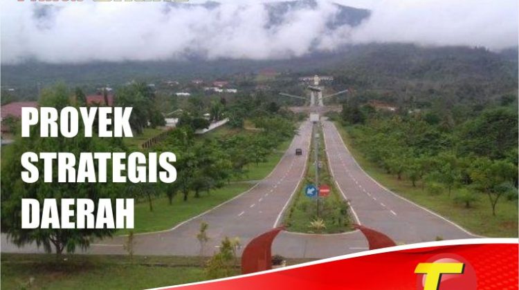 Wakil Ketua DPRD Lutim Tak Tahu Apa Itu Proyek Strategis Daerah, Kok Bisa ?